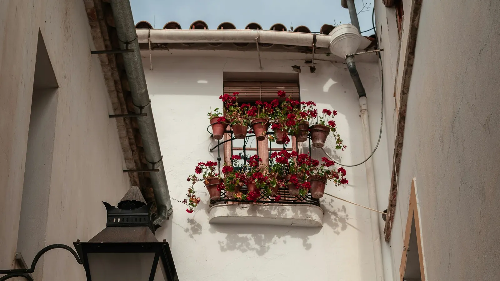 A whitewashed wall with an iron street lamp and a balcony of red geraniums
